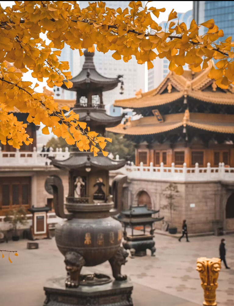 Ginko tree of JIna an temple