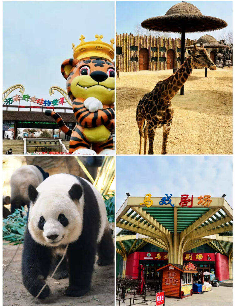 wildlife in jinan