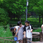 Best Forest Park to visit With Children In Jinan.Everything you need to know