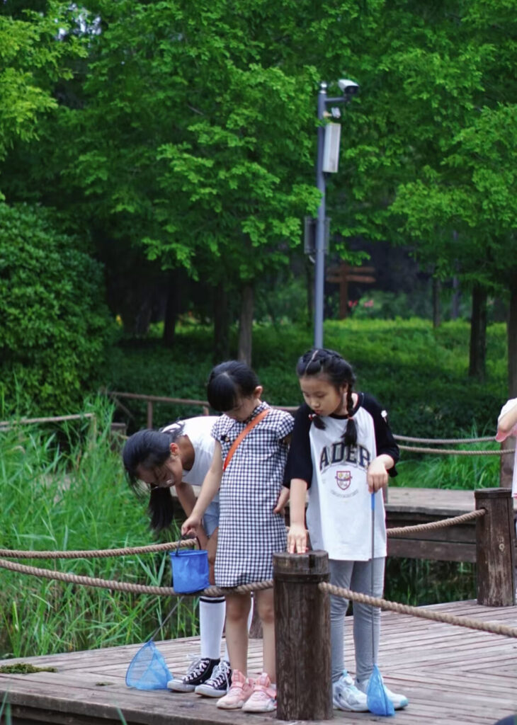 green forest park jinan